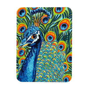 Imán Peacock I desplumado