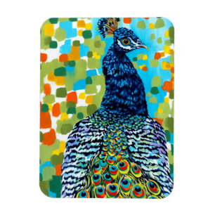 Imán Peacock II desplumado
