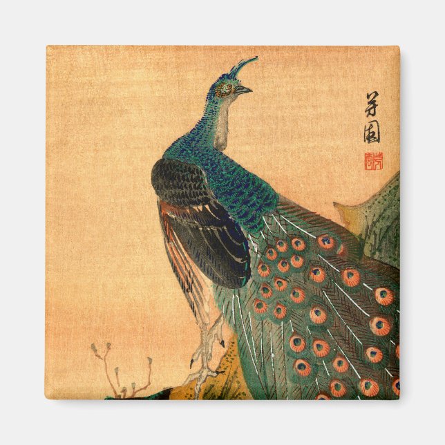 Imán Peacock japonés n.º 2 (Frente)