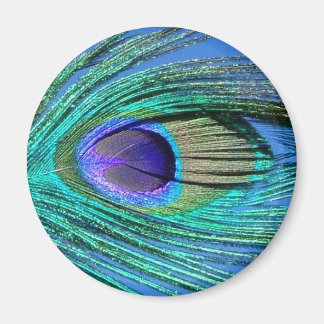 Imán Peacock Pin