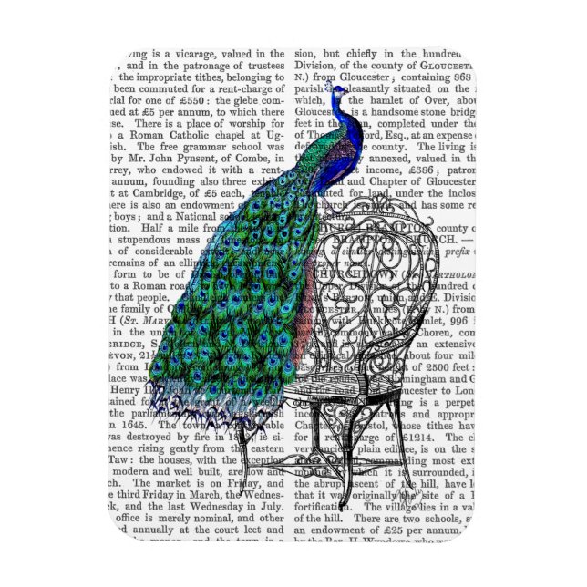 Imán Peacock sobre la silla (Vertical)