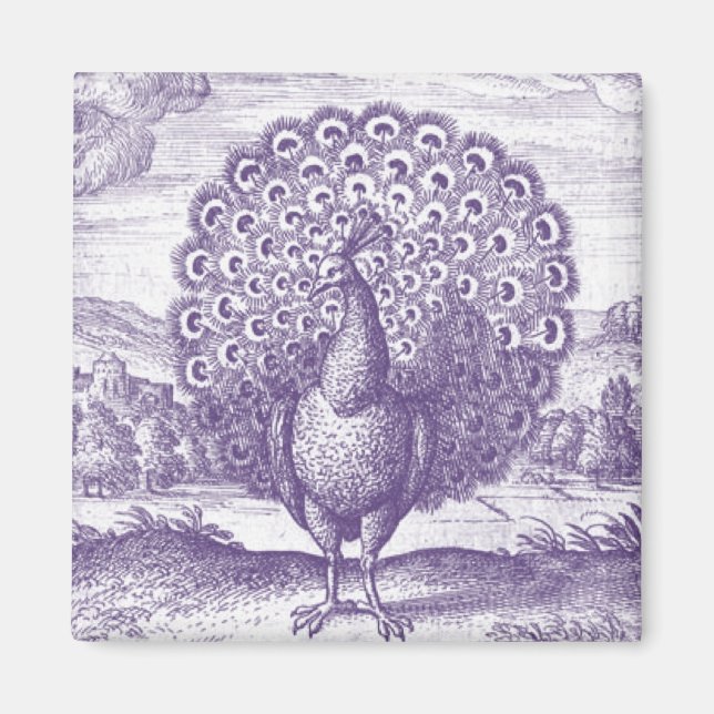 Imán Peacock, un grabado vintage (Frente)