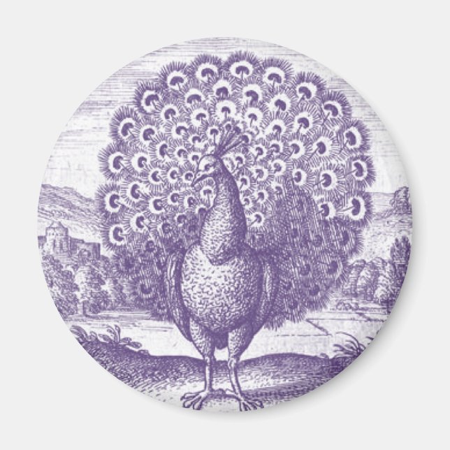Imán Peacock, un grabado vintage (Frente)