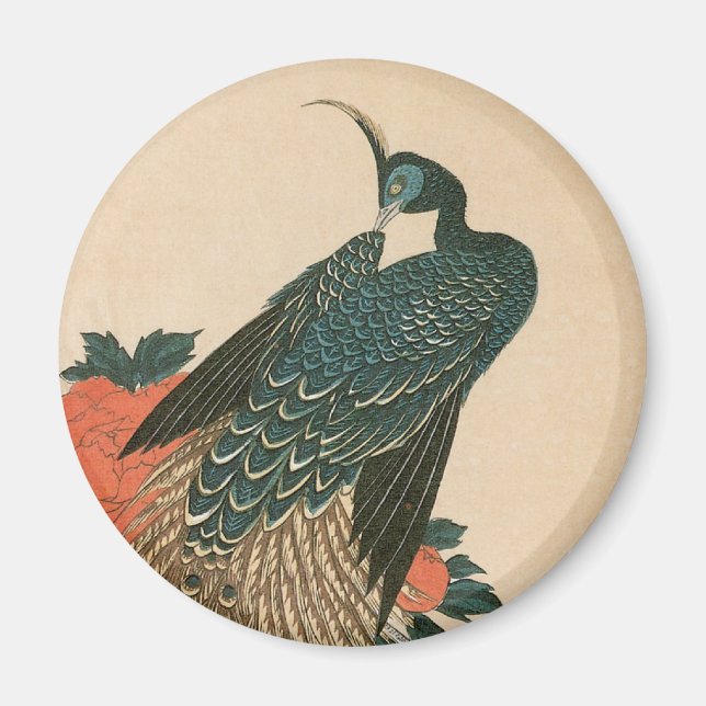 Imán Peacock y peonías de Hiroshige, arte japonés (Frente)