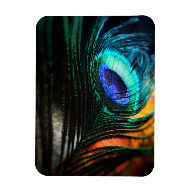 Imán Peakcock Feather de cerca y personal (Vertical)