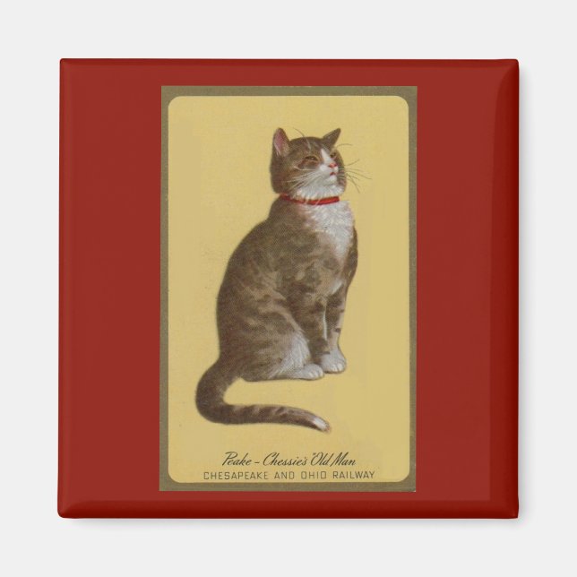 Imán Peake, anciano de Chessie, gato parlanchín (Frente)