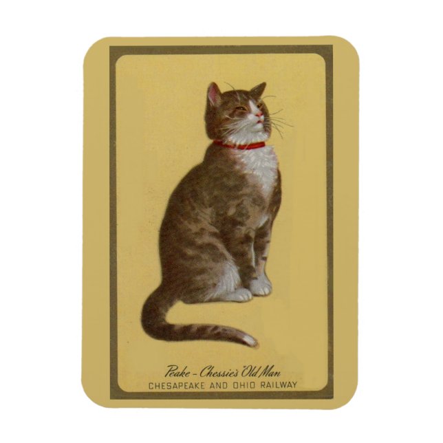 Imán Peake, anciano de Chessie, gato parlanchín (Vertical)
