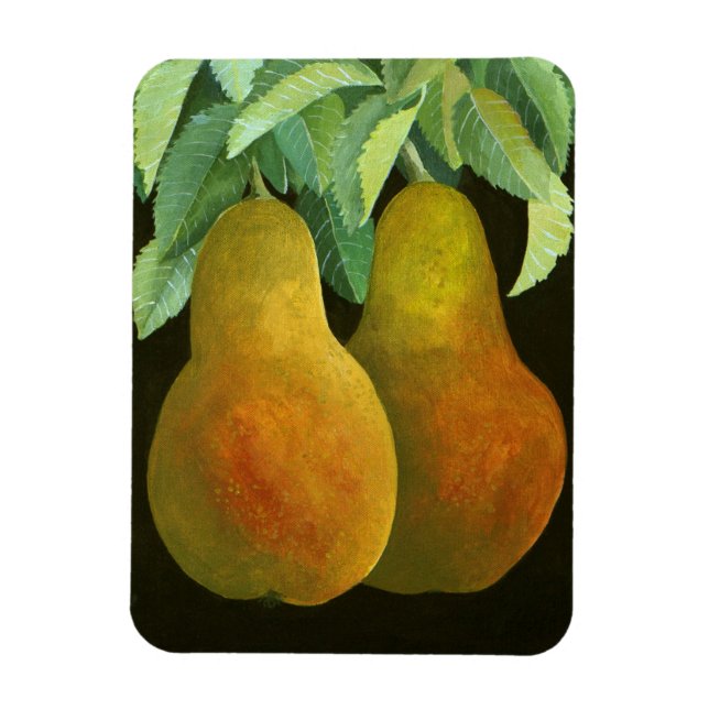 Imán Pears 2014 2 (Vertical)