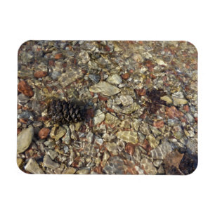 Imán Pebbles en la fotografía de la naturaleza de Taylo