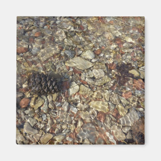 Imán Pebbles en la fotografía de la naturaleza de Taylo