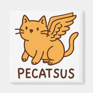 IMÁN PECATSUS