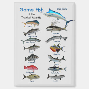 Imán Peces de caza del Océano Atlántico tropical