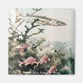 Imán Peces de imanes/Barracuda y arrecifes