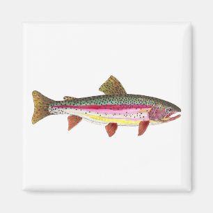 Imán Peces de trucha arco iris