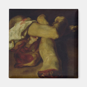 Imán Pedazos anatómicos