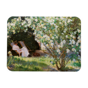 Imán Peder Severin Kroyer - Rosas
