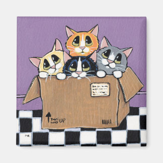 Imán Pedir gatitos en una pintura de caja