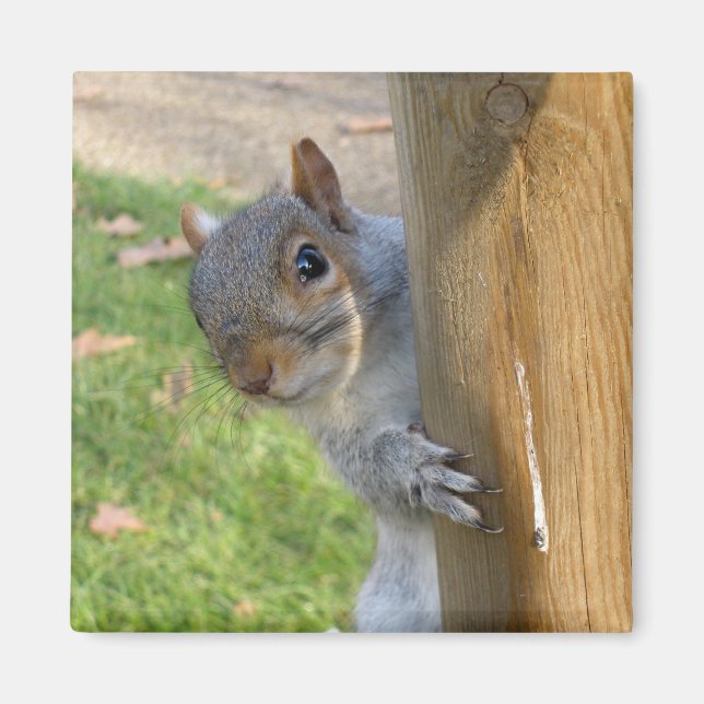 Imán ¡Peek-a-Boo! (Frente)