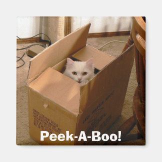 Imán ¡Peek-A-Boo! 2
