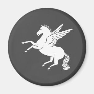 Imán Pegasus