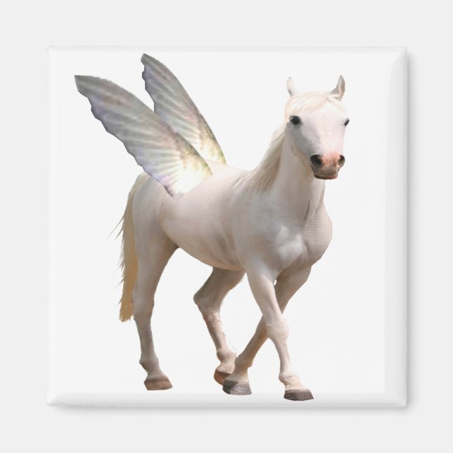 Imán Pegasus Magnet (Frente)