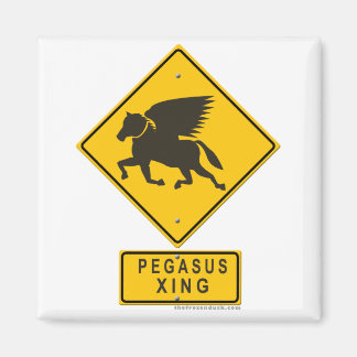 Imán Pegasus XING