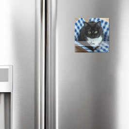 Imán Pegatina de Mascota fotográfico con nombre