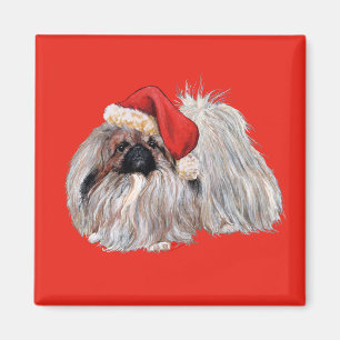 Imán Pekingés en Navidad