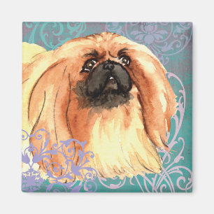 Imán Pekingese elegante