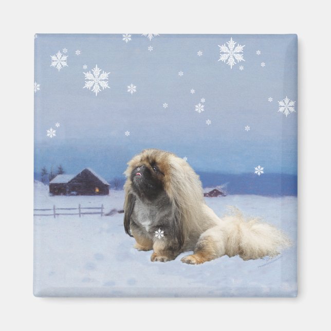 Imán Pekingese en Invierno (Frente)