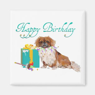 Imán Pekingeses en un estado de ánimo Fiesta