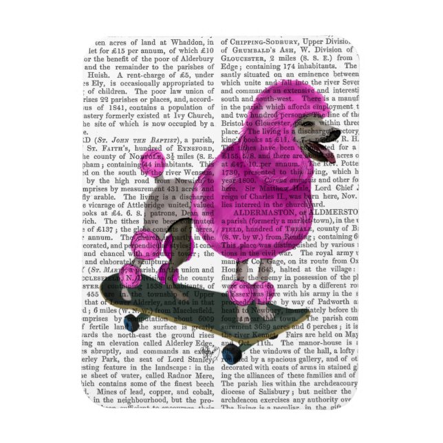 Imán Pelele rosa y patineta (Vertical)