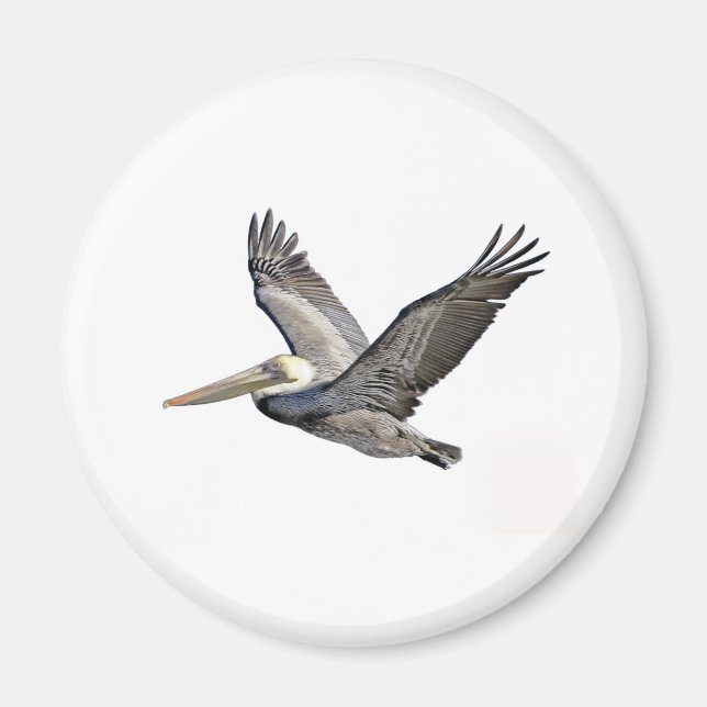 Imán Pelican Clear (Frente)