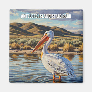 Imán Pelican en Antelope Island State Park Utah