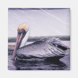 Imán Pelican Gliding