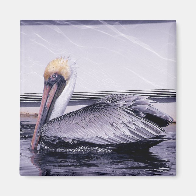 Imán Pelican Gliding (Frente)