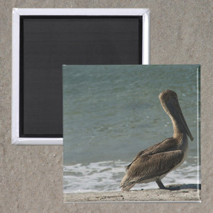 Imán Pelican on the Beach Photo