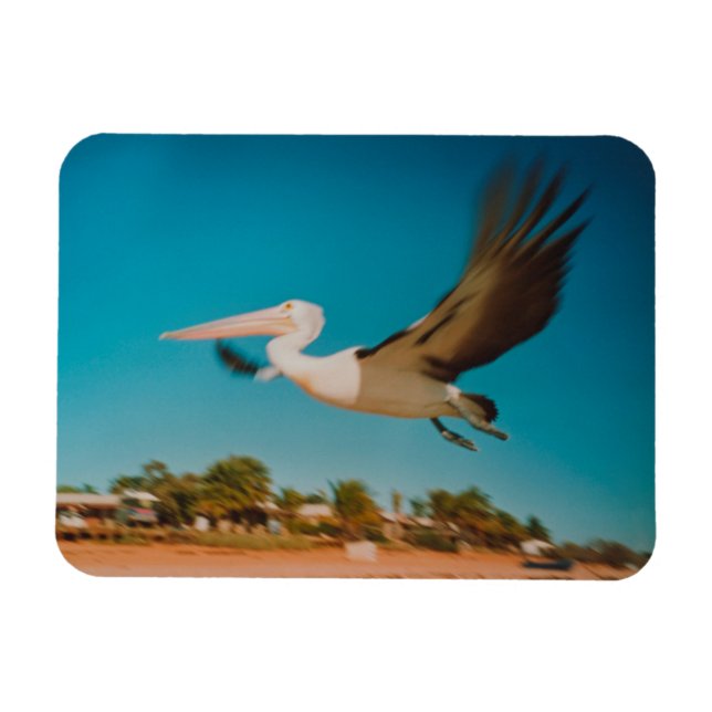 Imán Pelícano (Horizontal)