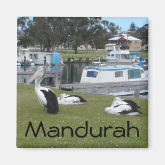 Imán Pelícanos de Mandurah