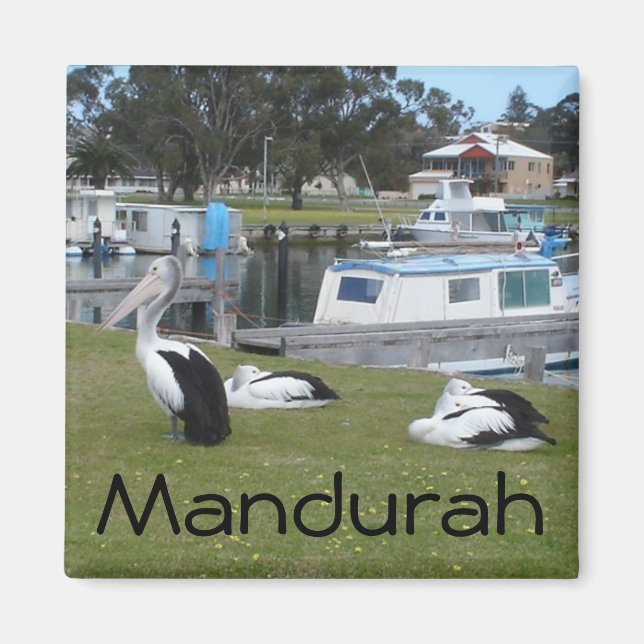 Imán Pelícanos de Mandurah (Frente)