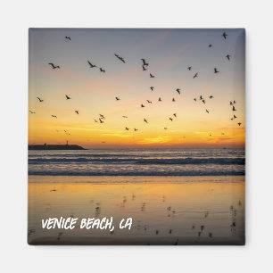 Imán Pelicans at Sunset - Venice Beach, CA