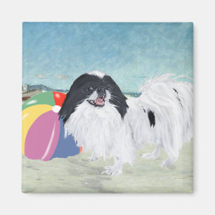 Imán Pelota de Playa Japanese Chin
