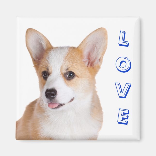 Imán Pembroke Welsh Corgi Love Refrigerator Magnet (Frente)