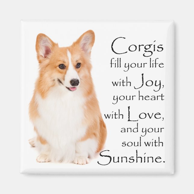 Imán Pembroke Welsh Corgi Magnet (Frente)