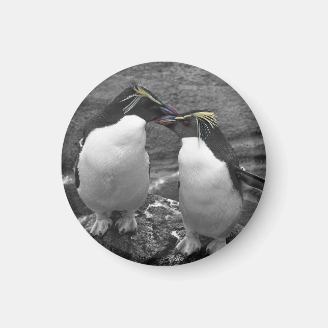 Imán Penguin Colour Splash (Frente)