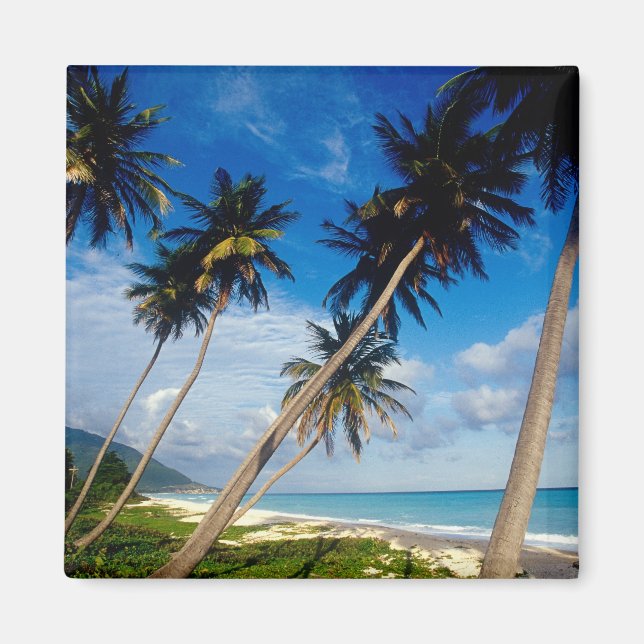 Imán Península de La Samana, República Dominicana, (Frente)