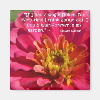 Imán Pensando En Ti...