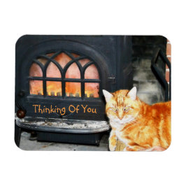 Imán Pensando En Tu Gato