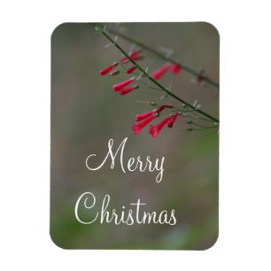 Imán Penstemon rojo Feliz Navidad