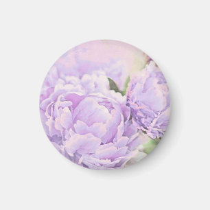 Imán Peonies de la lavanda